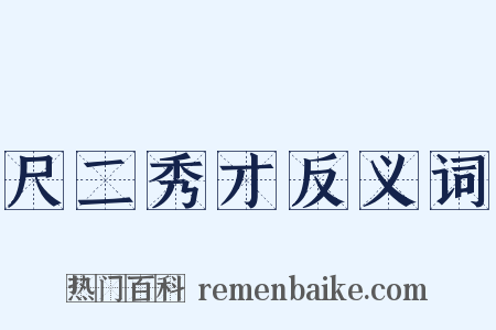 尺二秀才反义词是什么意思的图片